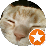Close-up of a relaxed ginger cat with eyes closed and a small orange star in the corner. Cat Reviews.